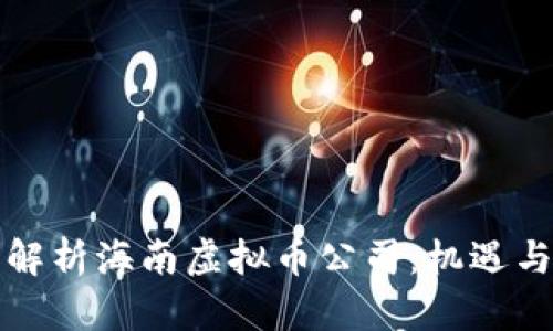 全面解析海南虚拟币公司：机遇与挑战