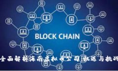 全面解析海南虚拟币公司