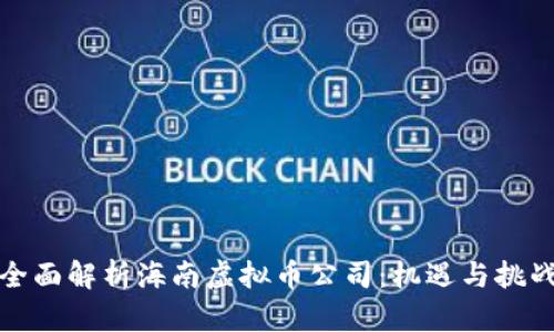 全面解析海南虚拟币公司：机遇与挑战