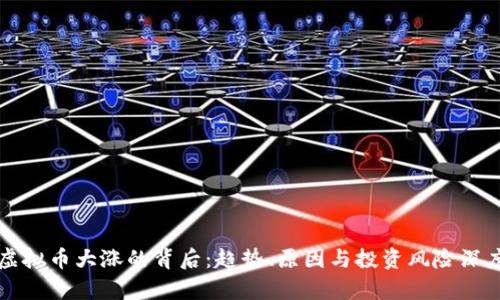 今年虚拟币大涨的背后：趋势、原因与投资风险深度分析