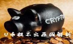  TPWallet U币提不出原因解析及解决方案