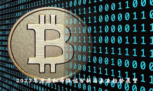 2023年度虚拟币涨幅分析与未来趋势展望