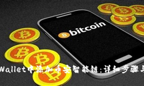 如何在TPWallet中添加币安智能链：详细步骤与注意事项