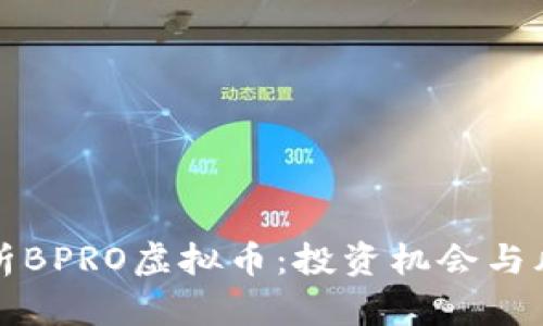 全面剖析BPRO虚拟币：投资机会与风险分析