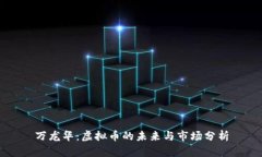 万龙华：虚拟币的未来与