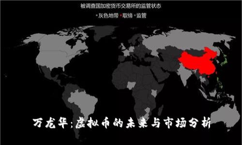 万龙华：虚拟币的未来与市场分析
