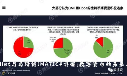 TPWallet与马蹄链（MATIC）详解：数字货币的未来与应用
