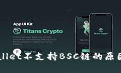 电脑版TPWallet不支持BSC链的
