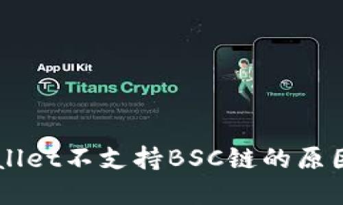 电脑版TPWallet不支持BSC链的原因及解决方案