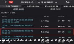 深入解析MIC虚拟币：投资
