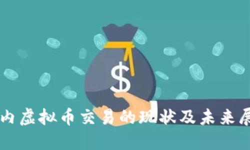 国内虚拟币交易的现状及未来展望