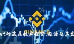 TPWallet的底层技术探究：起