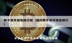 炒虚拟币欠债的原因与应