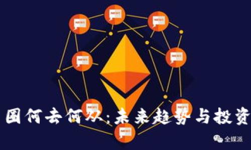 虚拟币币圈何去何从：未来趋势与投资策略分析