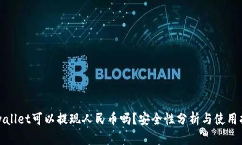 tpwallet可以提现人民币吗？安全性分析与使用指南