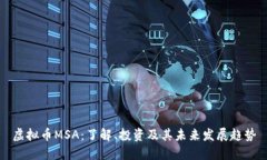 虚拟币MSA：了解、投资及