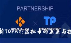 全面解析TOPAY：虚拟币的未
