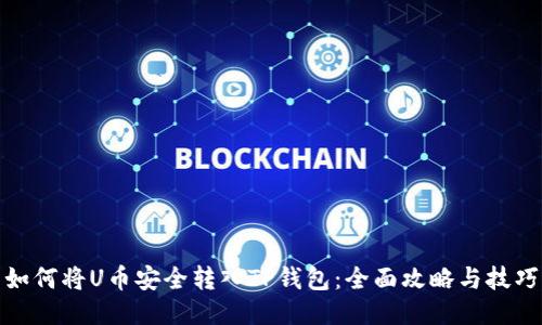 如何将U币安全转入TP钱包：全面攻略与技巧
