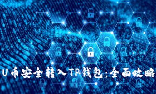 如何将U币安全转入TP钱包：全面攻略与技巧