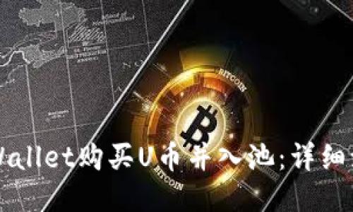 如何通过TPWallet购买U币并入池：详细流程视频指南