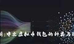全面解析：中文虚拟币钱