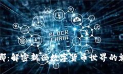 虚拟币李娜：解密新兴数