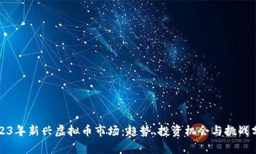 2023年新兴虚拟币市场：趋势、投资机会与挑战分析