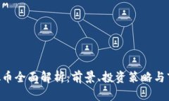 RVC虚拟币全面解析：前景