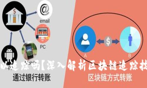 虚拟币被盗可以追踪吗？深入解析区块链追踪技术及其局限性