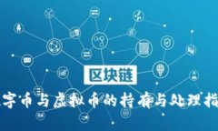 数字币与虚拟币的持有与