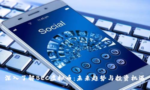 深入了解BEC虚拟币：未来趋势与投资机遇
