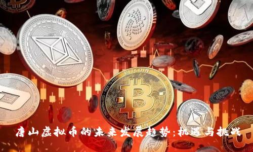 唐山虚拟币的未来发展趋势：机遇与挑战