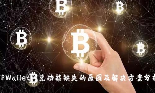 TPWallet闪兑功能缺失的原因及解决方案分析