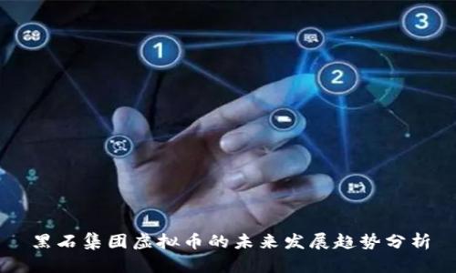 黑石集团虚拟币的未来发展趋势分析