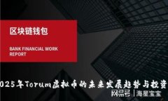 2023-2025年Torum虚拟币的未来