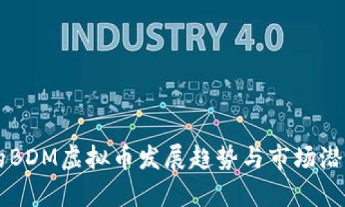 未来的BDM虚拟币发展趋势与市场潜力分析