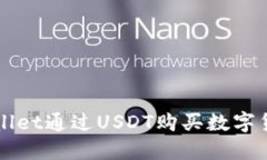 如何使用TPWallet通过USDT购