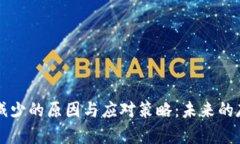 TPWallet资产减少的原因与应对策略：未来的存储与