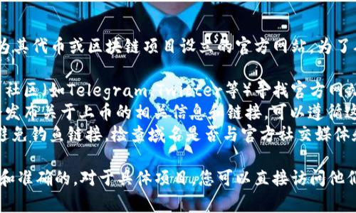 在TPWallet上币时填写的官方网站通常是项目方为其代币或区块链项目设立的官方网站。为了确保信息的准确性和安全性，建议您遵循以下步骤：

1. **查找官方网站**：访问该项目的白皮书或相关社区（如Telegram、Twitter等）寻找官方网站链接。
2. **社区公告**：通常代币的官方社交媒体账号会发布关于上币的相关信息和链接，可以遵循这些更新。
3. **验证安全性**：确保您访问的是正确的网址，避免钓鱼链接。检查域名是否与官方社交媒体和白皮书上提供的一致。

建议始终小心，以确保您填写的所有信息都是最新和准确的。对于具体项目，您可以直接访问他们的官方网站获取更多信息。