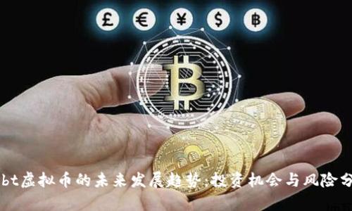 Bobt虚拟币的未来发展趋势：投资机会与风险分析