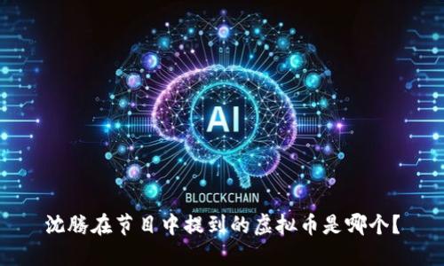 沈腾在节目中提到的虚拟币是哪个？