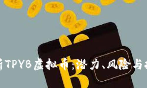 深入解析TPYB虚拟币：潜力、风险与投资策略