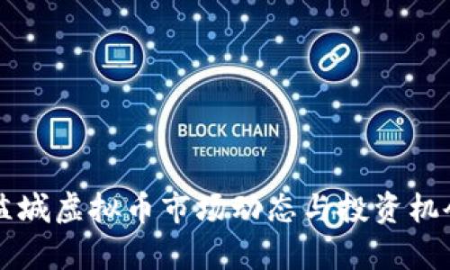江苏盐城虚拟币市场动态与投资机会分析