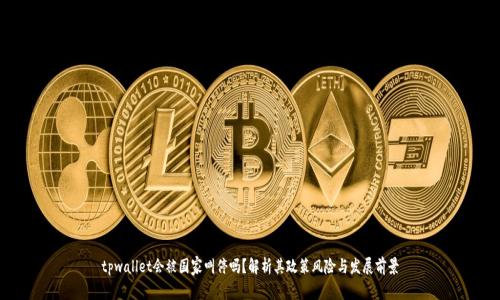 tpwallet会被国家叫停吗？解析其政策风险与发展前景