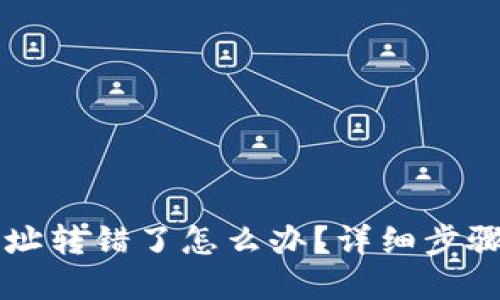 TPWallet地址转错了怎么办？详细步骤和解决方案