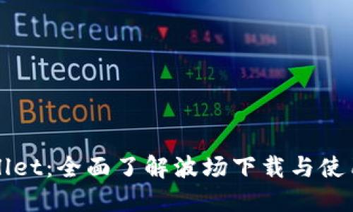 TPWallet：全面了解波场下载与使用指南