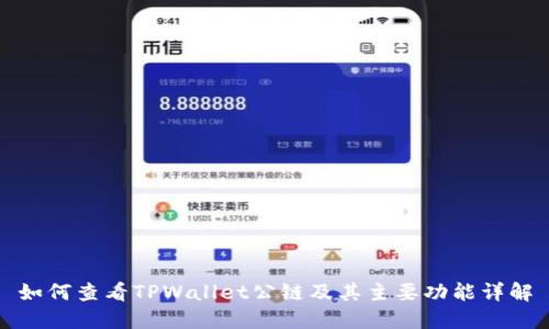如何查看TPWallet公链及其主要功能详解