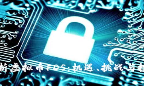全面解析虚拟币FDS：机遇、挑战与投资前景