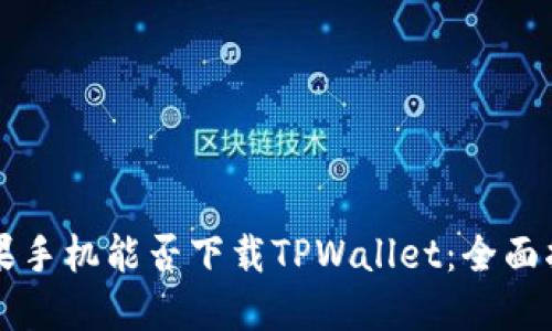 苹果手机能否下载TPWallet：全面指南