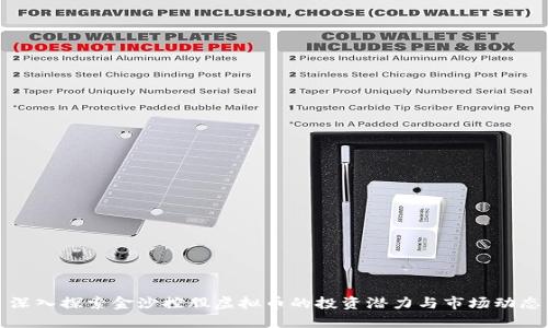 深入探索金沙控股虚拟币的投资潜力与市场动态